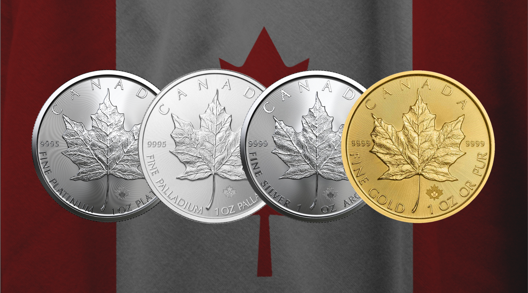 Sovereign Coin Series – The Canadian Maple Leaf Coin-Royal-Bull-Articles