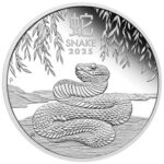 2025 1oz Lunar Year of the Snake Silver Coin - Perth Mint - Royal Bull