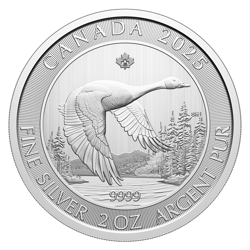 2025 2 oz Canada Goose Silver Coin - Royal Canadian Mint - Royal Bull Precious Metals