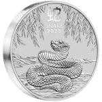 2025 1kg Lunar Year of the Snake Silver Coin – Perth Mint - Royal Bull