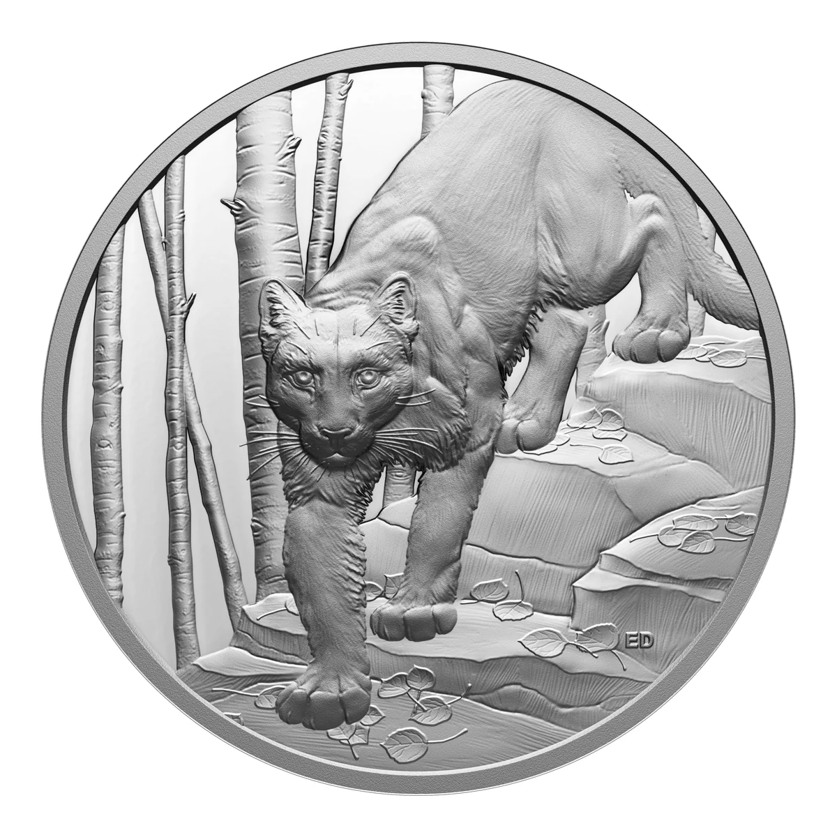 2024 カナダ Great Hunters クーガー 銀貨 PF70 UC 2024 $20 Great Hunters: Cougar - Ultra-High Relief Silver Coin